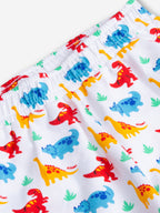 Premium Jurassic Joy Oversized Cord Set